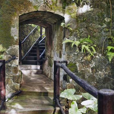 Rainforest Spa