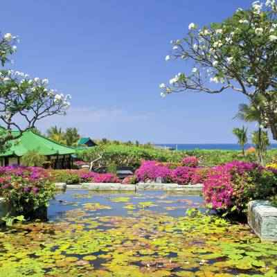 a close up of a flower garden