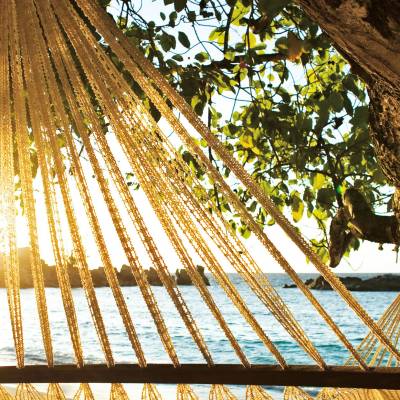 Beach Hammock