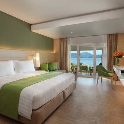 a bedroom with a large bed in a hotel room