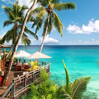 a group of palm trees next to a body of water