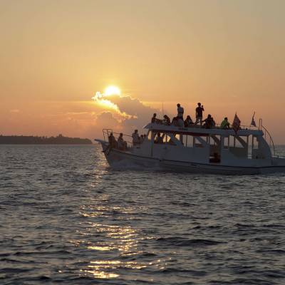 Sunset cruise