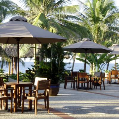 a group of palm trees on a dining table