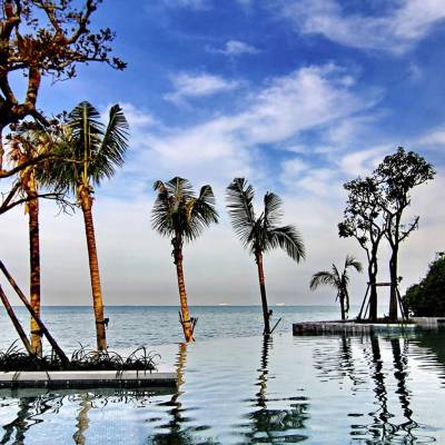 a group of palm trees next to a body of water