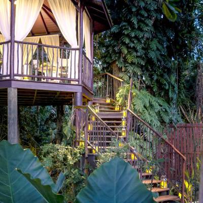Treehouse Private Dining