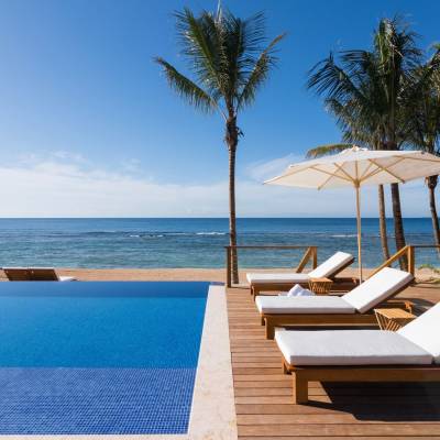 a row of palm trees next to a pool of water