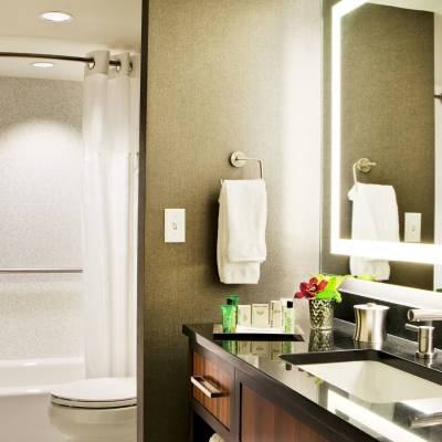 a double sink and large mirror