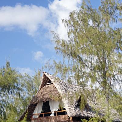 a house with trees in the background