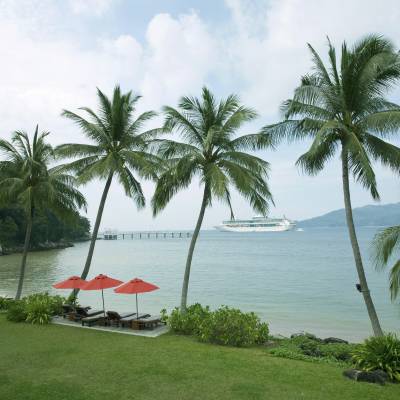 a palm tree in front of a body of water