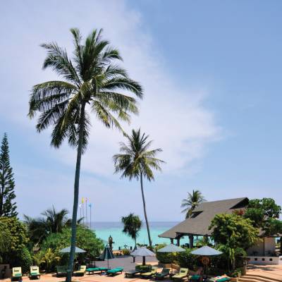 a group of palm trees with a blue umbrella