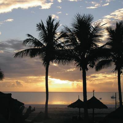 a sunset over a body of water next to a palm tree
