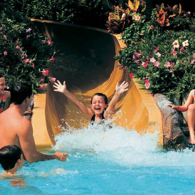 a group of people swimming in a pool of water
