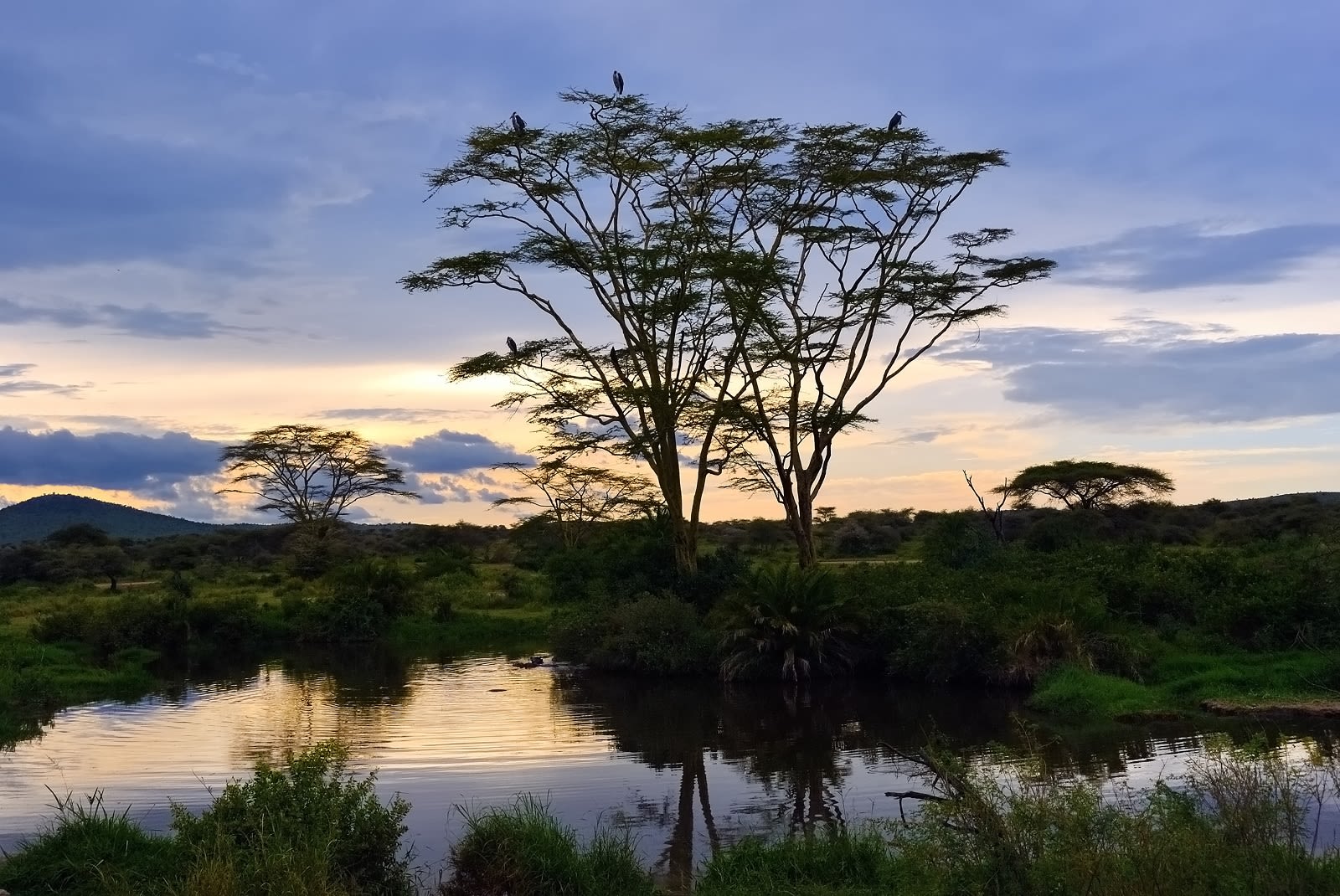 Enchanting Travels Tanzania Tours Serengeti in the evening Enchanting Travels Tanzania Tours Serengeti in the evening