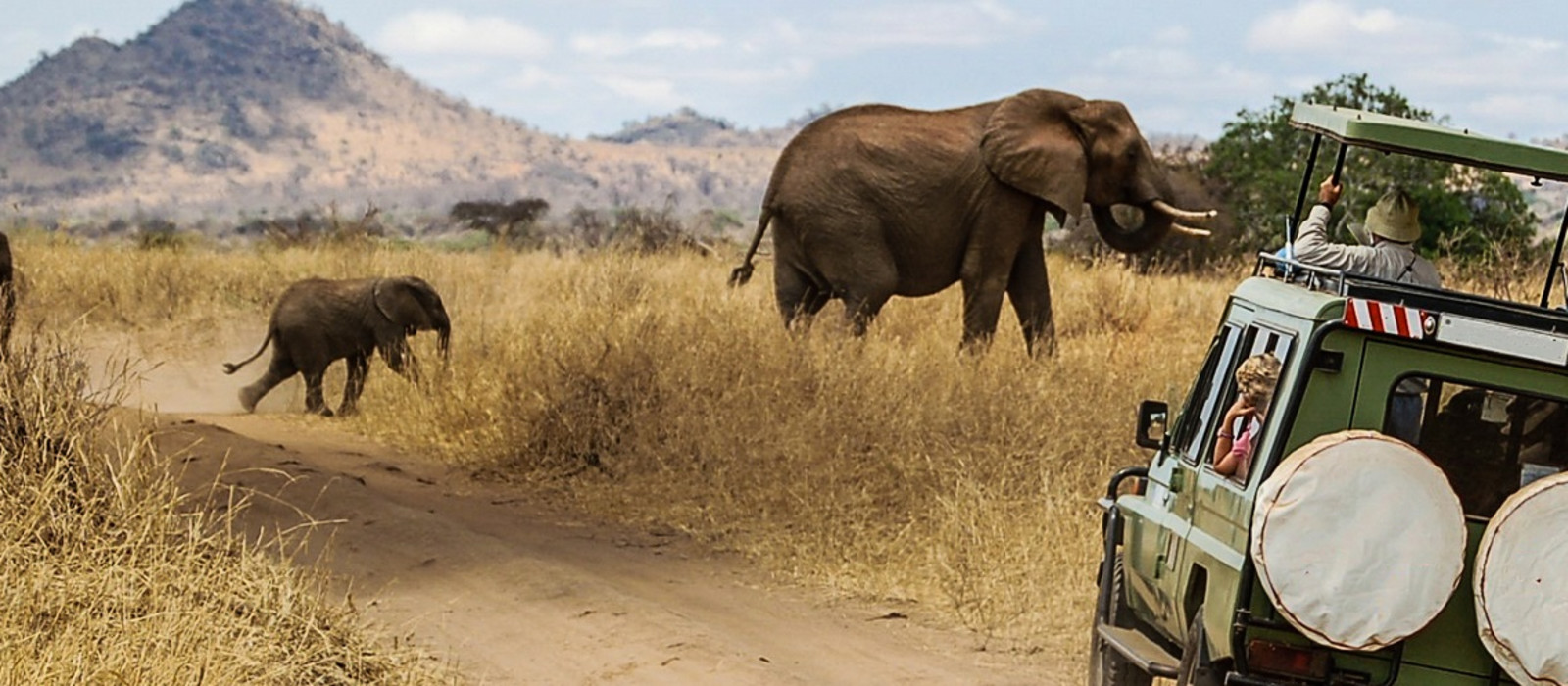 Best Time for Wildlife Safari in Africa | Enchanting Travels