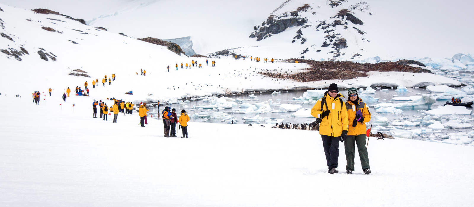 Best Time to Visit Antarctica by Month Enchanting Travels