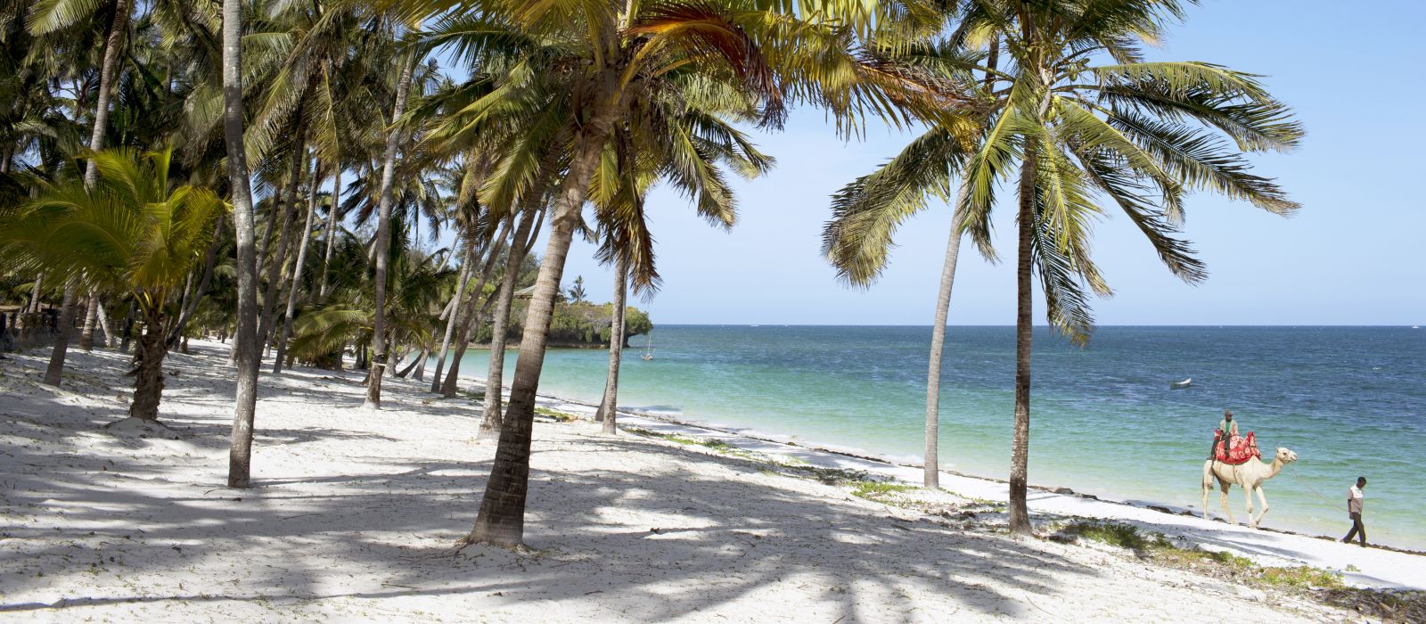 Plan your custom Kenya Travel Package | Enchanting Travels