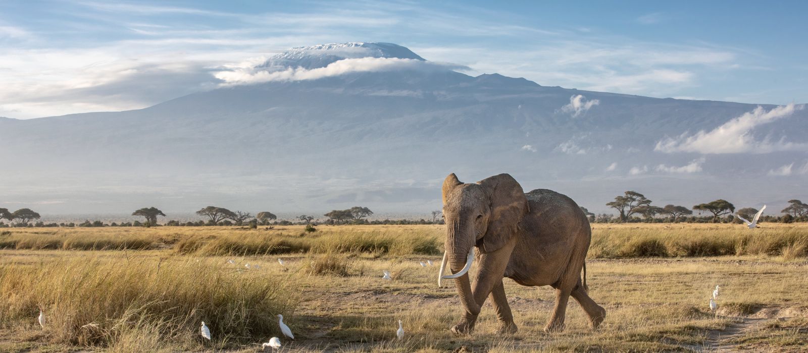 Tanzania Travel | Your Tanzania Safari with Enchanting Travels