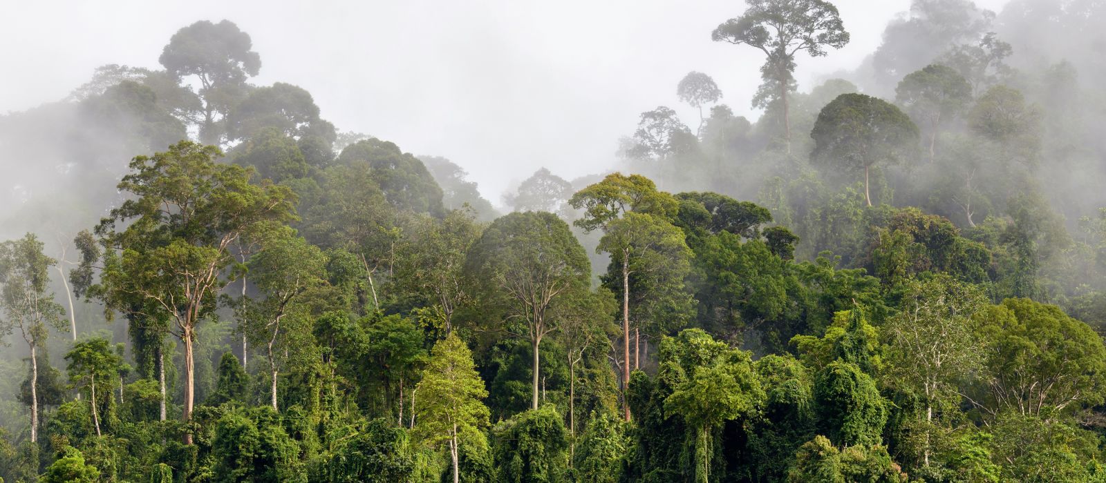 Malaysia Vacations Luxury Vacations Enchanting Travels