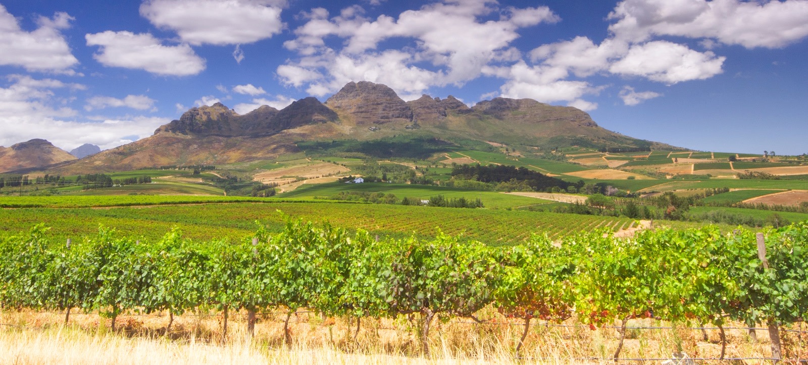 Enchanting Travels - Africa Tours - South Africa - Guest Image - Hans-Otto Ilse