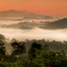 Asia Danum Valley, Sabah, Borneo, Malaysia Enchanting Travels