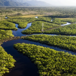 Luftaufnahme eines von Flüssen durchschnittenen Regenwaldes im Amazonas, Brasilien