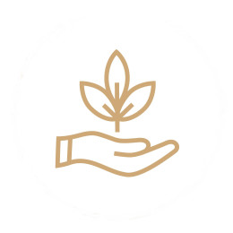 palm-growth-page-0012