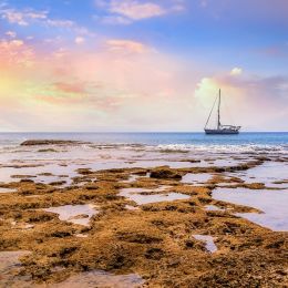 Sunset at Neil Island - part of the Andamans in India