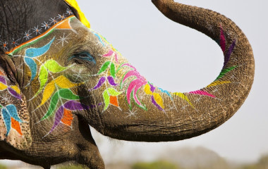 A Celebration Of The Top Festivals Of Asia – 2015, with Enchanting Travels