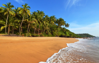 Sandstrand mit Palmen auf Goa, Indien