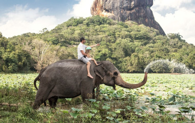 Die perfekte Sri Lanka Reise: Tiere und Natur