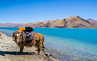 Tibet: Yamdrok Lake