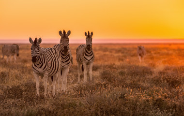 Enchanitng Travels - Namibia Tours - Guest Image - Silvia Knecht