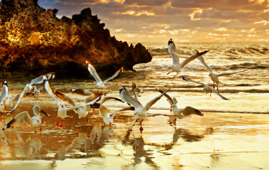 Enchanting Travels Australia Tours - Two Rocks Sunset - Perth Australia - Best trips to take in 2020