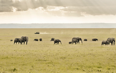 Tailor-made vacation in Africa