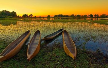 Africa Safaris: Top 5 Things to do at the Okavango Delta