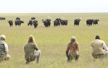 safari trips - Walking Safari Animals