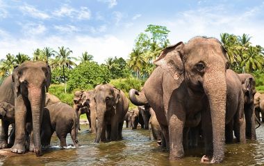 Is Sri Lanka safe