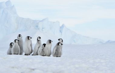 best time to visit antarctica