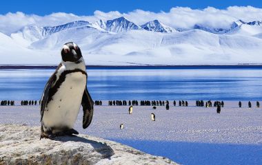 highlights of Antarctica