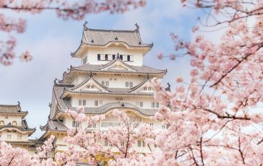 Enchanting Travels Japan Tours Himeji castle with sakura cherry blossom festival in Japan