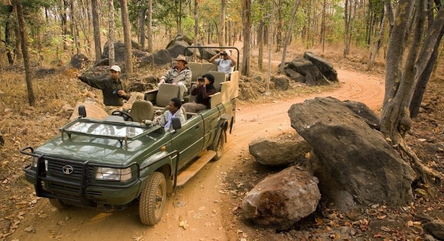 Safari en jeep en la India: Safari en la India