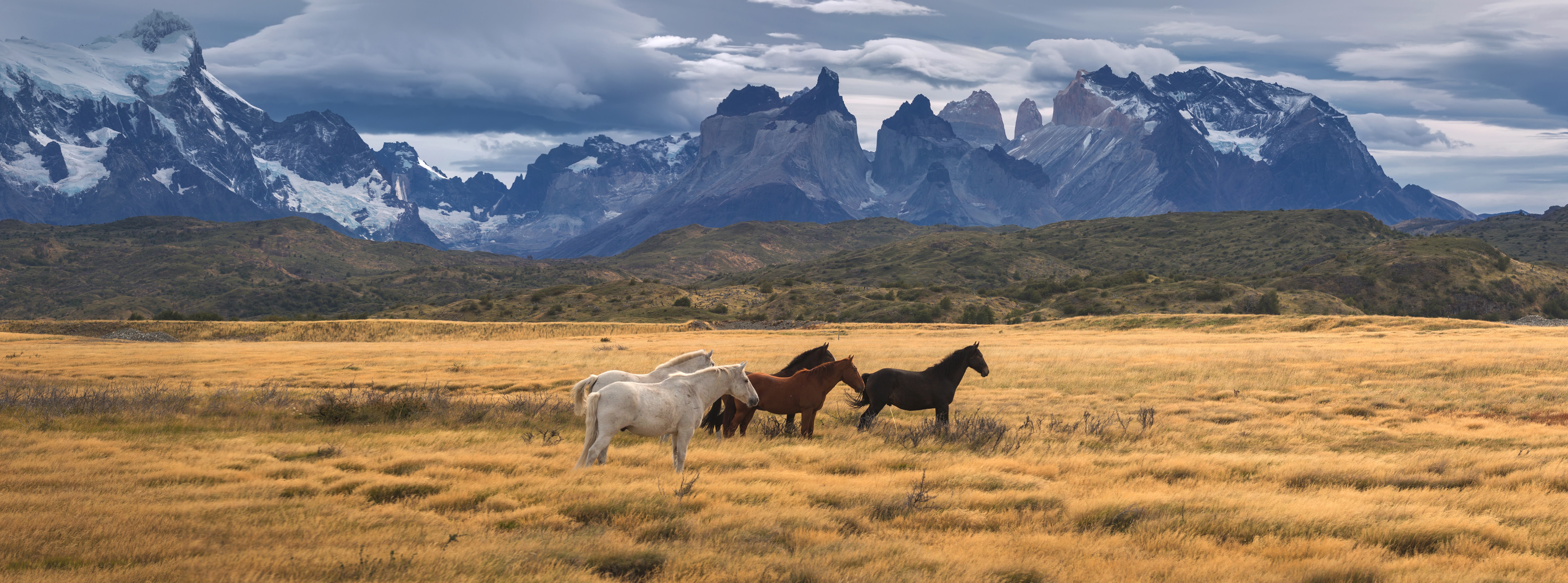 Torres del Paine National Park, Patagonia, Chile Torres del Paine National Park, Patagonia, Chile