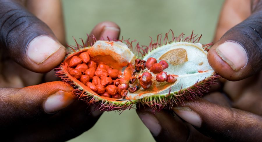 Spices from Zanzibar