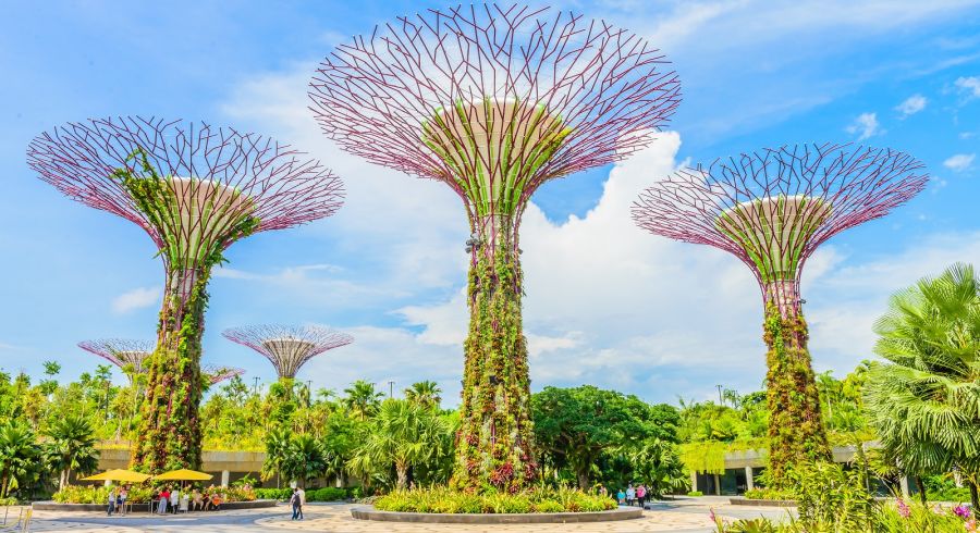 Garden by the bay