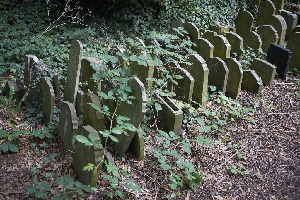 Abney Park walk