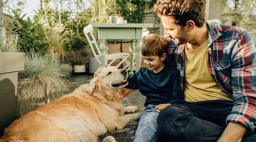 Young family with dog