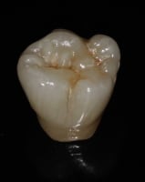 Image ma2nl1 - Eugenol