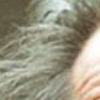 Jack nicholson bia2w2 - Eugenol