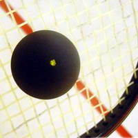 Squash u44zd8 - Eugenol