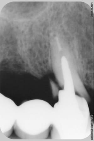 004copier m8m1uj - Eugenol